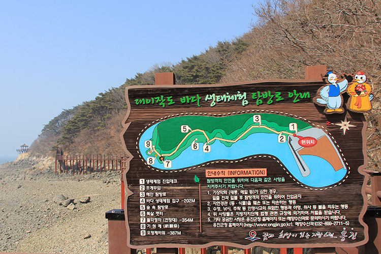 오형제바위 해안산책로