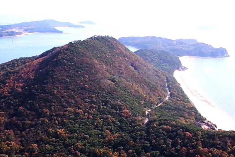 송이산